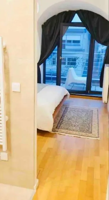 公寓 Penthouse In Luxembourg -Terrace公寓